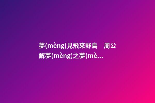 夢(mèng)見飛來野鳥　周公解夢(mèng)之夢(mèng)到飛來野鳥